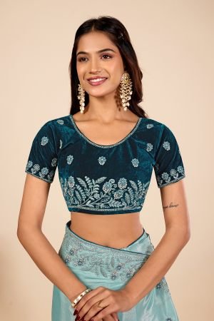 Designer Embroiderd Ice Blue Jarkan Work Saree for ladies